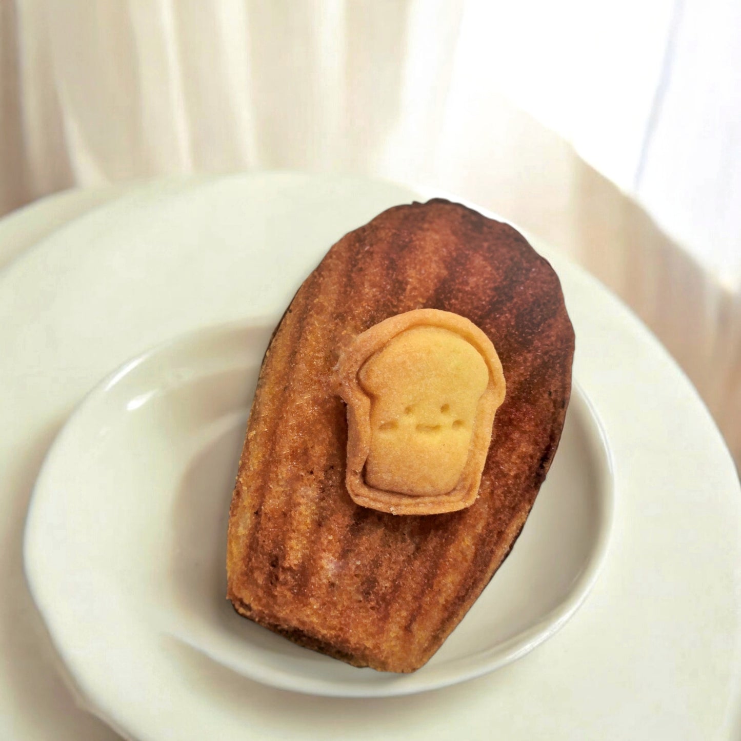 肉桂 Cinnamon